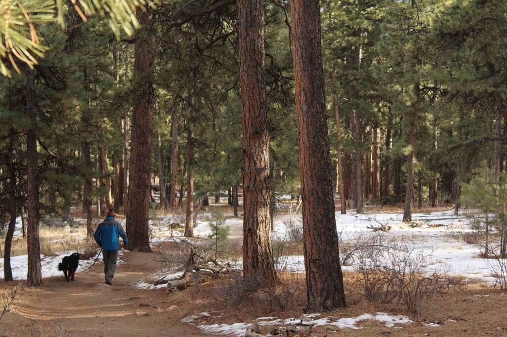 Special Offers Zac Farmer CEHeksjkBbE Unsplash 1024x682