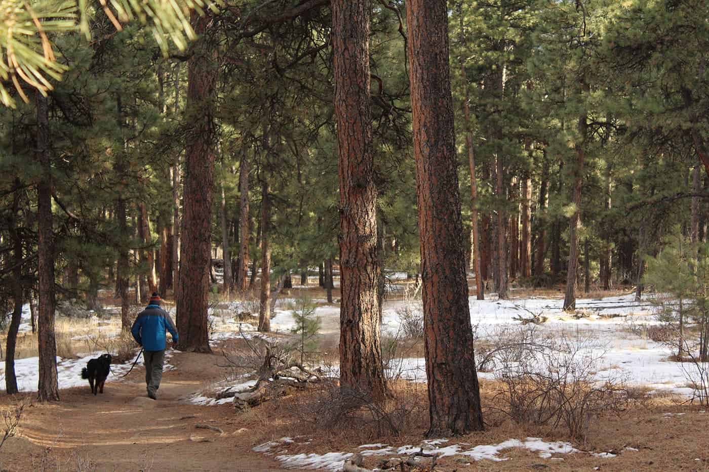 Zac Farmer CEHeksjkBbE Unsplash