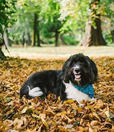 Facilities Melissa Keizer DRLvpgppkeE Unsplash